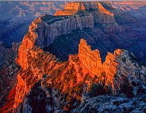 Cape Royal at sunrise with Wotan's Throne in the centre of the background. Grand Canyon National Park, Arizona, USA.