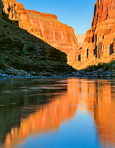 Fishtail Rapids, with reflections of Canyons, Colorado River, Arizona, USA.