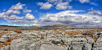 Limestone pavement at The Burren National Park, Lough Gealain, Mullaghmore, County Clare, Republic of Ireland. April 2016.