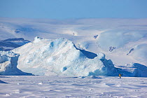 View of tourist walking near Emperor penguin colony at Snow Hill Island rookery, Weddell Sea, Antarctica.