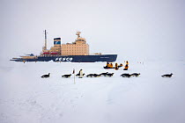 Emperor penguins (Aptenodytes forsteri) and tourists on sea ice in front of Russian icebreaker Kapitan Khlebnikov  in the sea ice near Snow Hill Island colony, Weddell Sea, Antarctica.