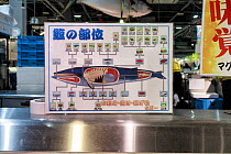 Diagram showing the origin of different whale meat cuts at Tore Tore Market, Shirahama, Wakayama Prefecture, Kansai, Honshu, Japan. February 2018.