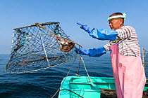 Fisherman setting crab traps for deep-sea King crabs (Lithodidae) in Suruga Bay, Shizuoka Prefecture, Honshu, Japan. April 2018.