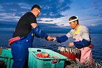 Fishermen, father and son, preparing bait and lines in the pre-dawn hours for deep sea fishing. Suruga Bay, Shizuoka Prefecture, Honshu, Japan. April 2018.