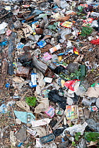 Rubbish including plastics discarded on land. Near Manado, North Sulawesi, Indonesia. October 2004.