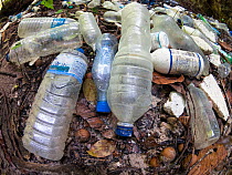 Rubbish including many plastic bottles accumulated on island. Rock Islands of Palau. Palau, Caroline Islands, Philippine Sea, Pacific Ocean. December 2013.