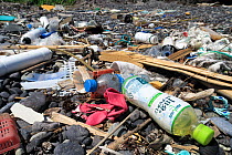 Plastic rubbish on a beach in Yamaguchi Prefecture, Chugoku, Honshu, Japan. June 2018.