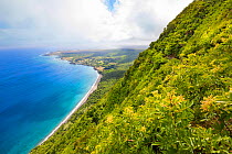 View of Kalaupapa Peninsula and Kalaupapa National Historical Park from the Pali Trail. Molokai, Hawaii. July 2017.