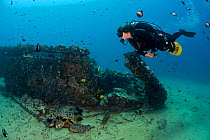 Diver on underwater scooter exploring Landing Craft wreck. Green sea turtle (Chelonia mydas) on seafloor. Makena, Maui, Hawaii. March 2012. Model released.