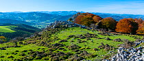 View of Lliendo Valley from Cerredo Mountain, Montana Oriental Costera, Castro Urdiales, Cantabria, Spain. November 2017.