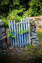 Blue gate in churchyard, Dowally Parish Church, Dunkeld, Perth and Kinross, Scotland, UK. August 2014