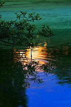 Reflections on water at sunset, England, UK, July.