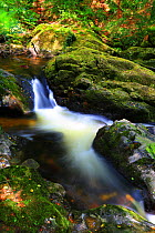 Long exposure of a Dartmoor stream, Devon, England, UK, August.