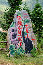 Information stone by roadside painted with gibbons and Chinese letters. Near ranger station, Wuliangshan Nature Reserve, Jingdong, Yunnan Province, China.