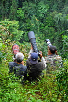 Three photographers photographing gibbons in Wuliangshan Nature Reserve, Jingdong, Yunnan Province, China. October 2017.