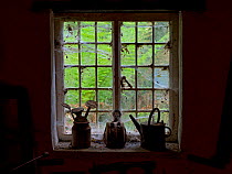 Potting Shed window with cobwebs, in garden outbuilding