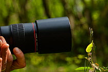 Photographer taking pictures of spider, Tangjiahe National Nature Reserve, Sichuan Province, China