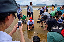 Joe Cheung from the Ocean Park Conservation Foundation Hong Kong , showing students juvenile Chinese horseshoe crab (Tachypleus tridentatus) Ha Pak Nai Wetlands, Hong Kong, China. June, 2016.