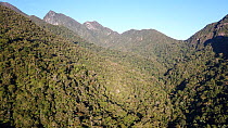 Mid-altitude rainforest on hills near Camp Marojejia, Marojejy National Park, north east Madagascar. October 2017.