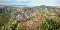 Deforestation of mid-altitude rainforest, high angle view. Near Andasibe-Mantadia National Park, eastern Madagascar. October 2017.