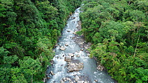 River flowing through mid-altitude montane rainforest. Manu Biosphere Reserve, Amazonia, Peru. November 2017.