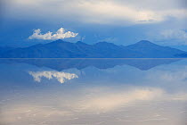 Salar de Uyuni salt flat, Atacama Desert, Altiplano / Andean Plateau. Daniel Campos Province, Bolivia. March 2017.