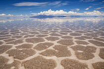 Salar de Uyuni salt flat, Atacama Desert, Altiplano / Andean Plateau. Daniel Campos Province, Potosi, Bolivia. March 2017.