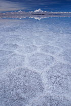 Salar de Uyuni salt flat, Atacama Desert, Altiplano / Andean Plateau. Potosi, Bolivia. March 2017.