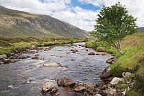 Dionard River running through Strath Dionard a Salmon and Sea Trout river on the Gualin Estate, Sutherland, Scotland, June