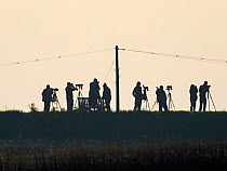 Birders birdwatching on West Bank at Cley Norfolk, silhouetted, England, UK. May