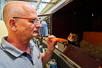 Jean Paul Burget, President of the French association &#39;Sauvegarde Faune Sauvage d&#39;Alsace&#39; (Wildlife Conservation of Alsace) in his breeding center for common hamster (Cricetus cricetus), B...