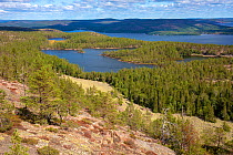 View from Slattdalsberget, Skuleskogen National Park, High Coast World Heritage Site, Vasternorrland, Sweden. August, 2018.