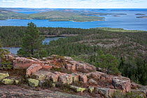 Rock outcrop with coniferou forests and Gulf of Bothnia in background. View from Slattdalsberget, Skuleskogen National Park, High Coast World Heritage Site, Vasternorrland, Sweden. August, 2018.