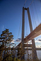 High Coast bridge / Hogakustenbron over Angermanalven river, High Coast World Heritage Site, Veda, Vasternorrland, Sweden. August, 2018.