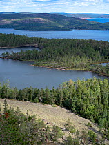 High Coast World Heritage Site from Slattdalsberget, Skuleskogen National Park, Vasternorrland, Sweden. August, 2018.