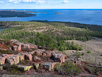 Rock outcrop, pebble field and coniferous forest with Gulf of Bothnia in background. View from Slattdalsberget, Skuleskogen National Park, High Coast World Heritage Site, Vasternorrland, Sweden. Augus...