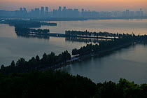 Tree lined causeway over lake, East Lake Greenway park, with the Wuhan skyline behind, Hubei, China. June 2018