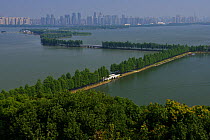 Tree lined causeway, East Lake Greenway park, Wuhan, Hubei, China