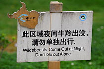 Wildlife warning sign &#39;Wildebeest come out at night. Don&#39;t go out Alone&#39;. This is likely a mistranslation of the world for Takin, which is similar to the word for Wildebeest Tangjiahe Nati...