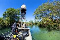 Scouting the river on a small boat driven by an electric motor in search of Anacondas, Formoso River, Bonito, Mato Grosso do Sul, Brazil