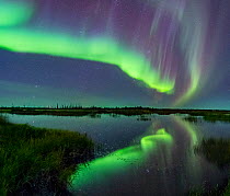 Aurora Borealis reflected in lake. Northwest Territories, Canada. September 2018.