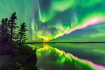 Aurora Borealis reflected in Polar Lake. Near Great Slave Lake, Northwest Territories, Canada. September 2018.