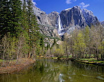 The Merced River and Upper Yosemite Falls in Yosemite National Park, California, USA.