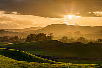 Landscape of fields at sunset, Yorkshire Dales National Park, Yorkshire, England, UK, May 2013.