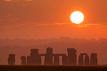 Stonehenge at sunrise, Salisbury Plain, Wiltshire, England, UK, June.