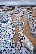 Pebbles on Nash Point, Monknash Coast, Vale of Glamorgan, Wales, UK, June 2006.