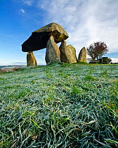 Pentre Ifan, a Neolithic burial chamber, Nevern, Pembrokeshire, Wales, UK. November 2008