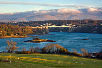 Menai Suspension Bridge joining Anglesey and Wales over the Menai Strait, Wales. January 2008