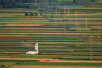 Landscape of fields, with a church and electricity pylons, Smarjetna Gora, Ljubljana Basin, Slovenia. July 2017