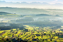 Field patterns wiht the Tatra mountains in the distance, Poland. September 2014